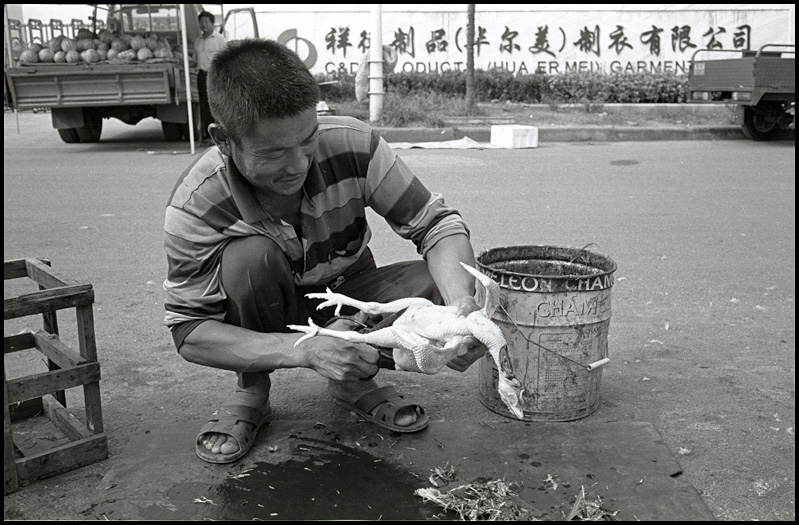 ©copyright Marco Giardini